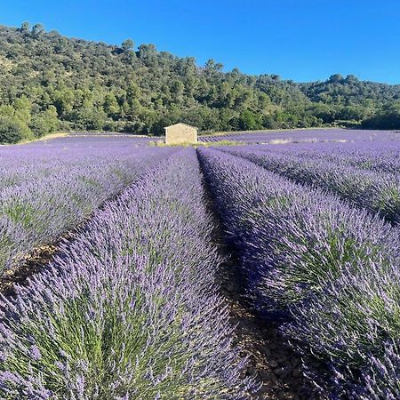 Coeur De Provence Leilighet Gréoux-les-Bains Eksteriør bilde