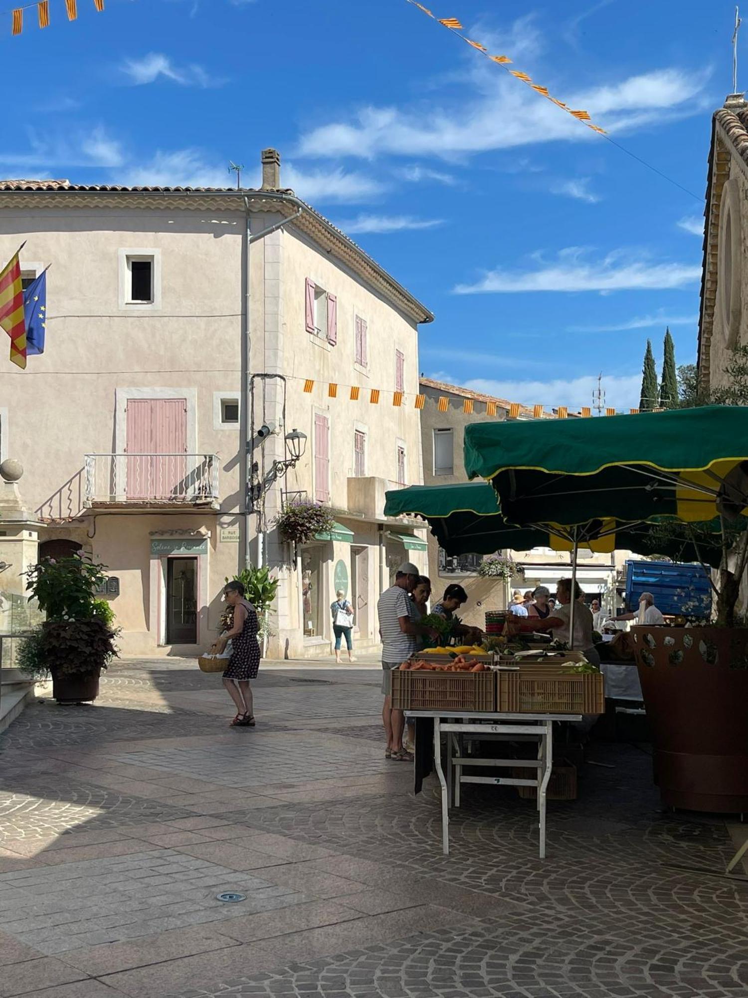 Coeur De Provence Leilighet Gréoux-les-Bains Eksteriør bilde